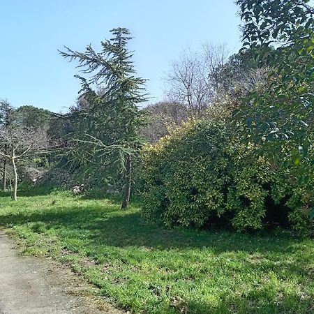 Boschetto Segreto Villa Noto Eksteriør billede