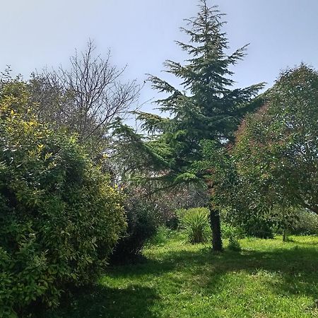 Boschetto Segreto Villa Noto Eksteriør billede