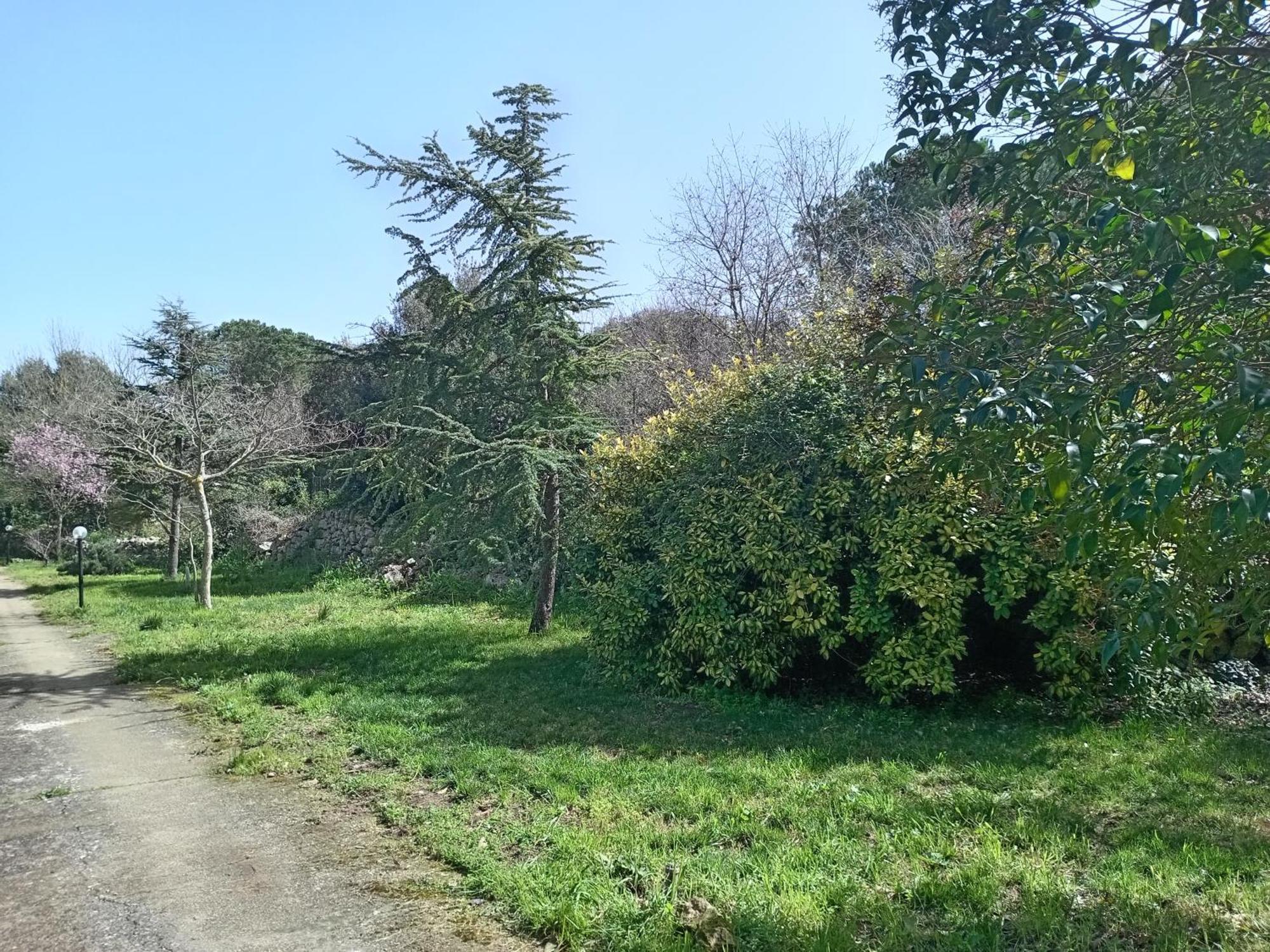 Boschetto Segreto Villa Noto Eksteriør billede