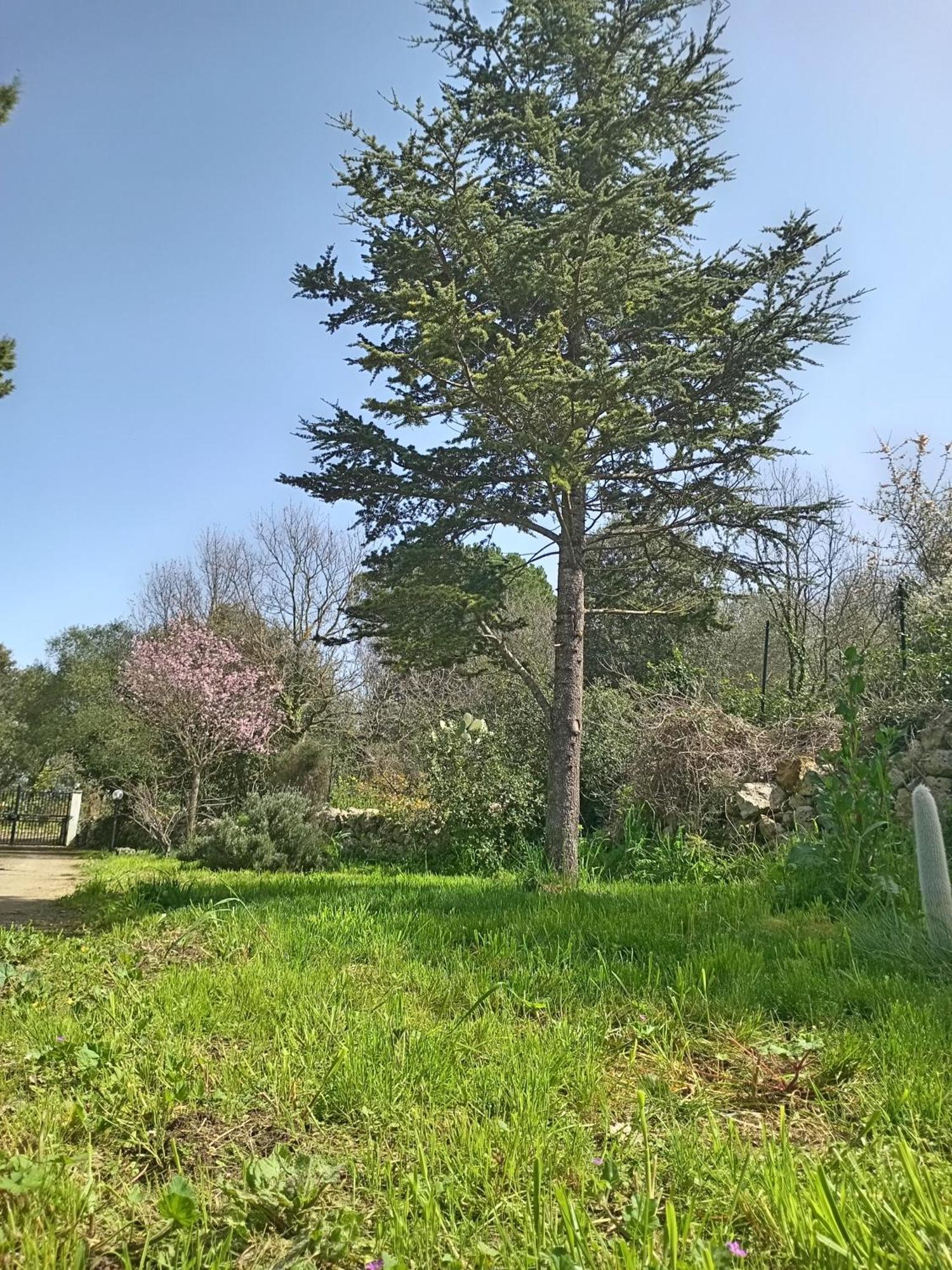 Boschetto Segreto Villa Noto Eksteriør billede